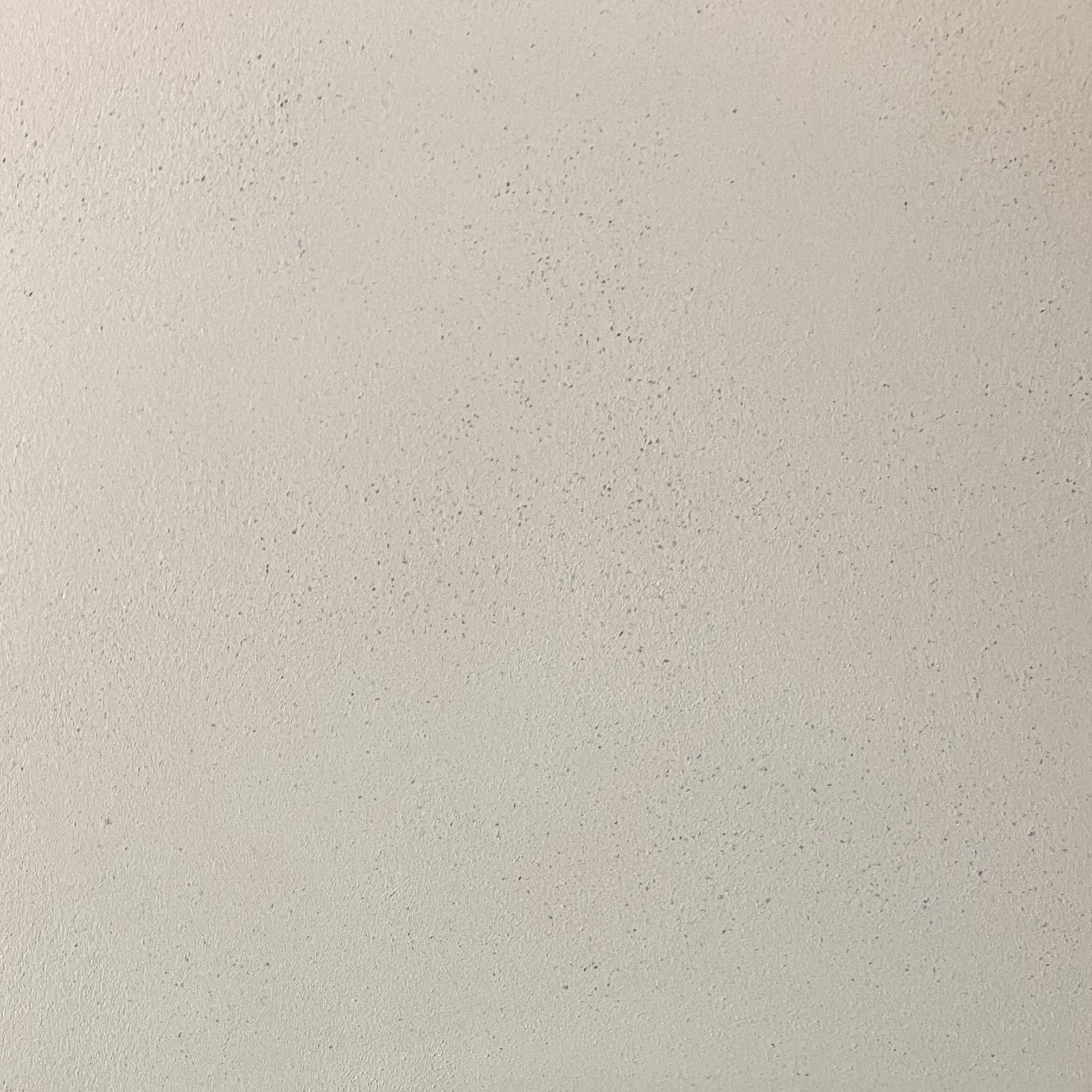 Exemple de rendu : finition blanc cassé lisse, finement mouchetée