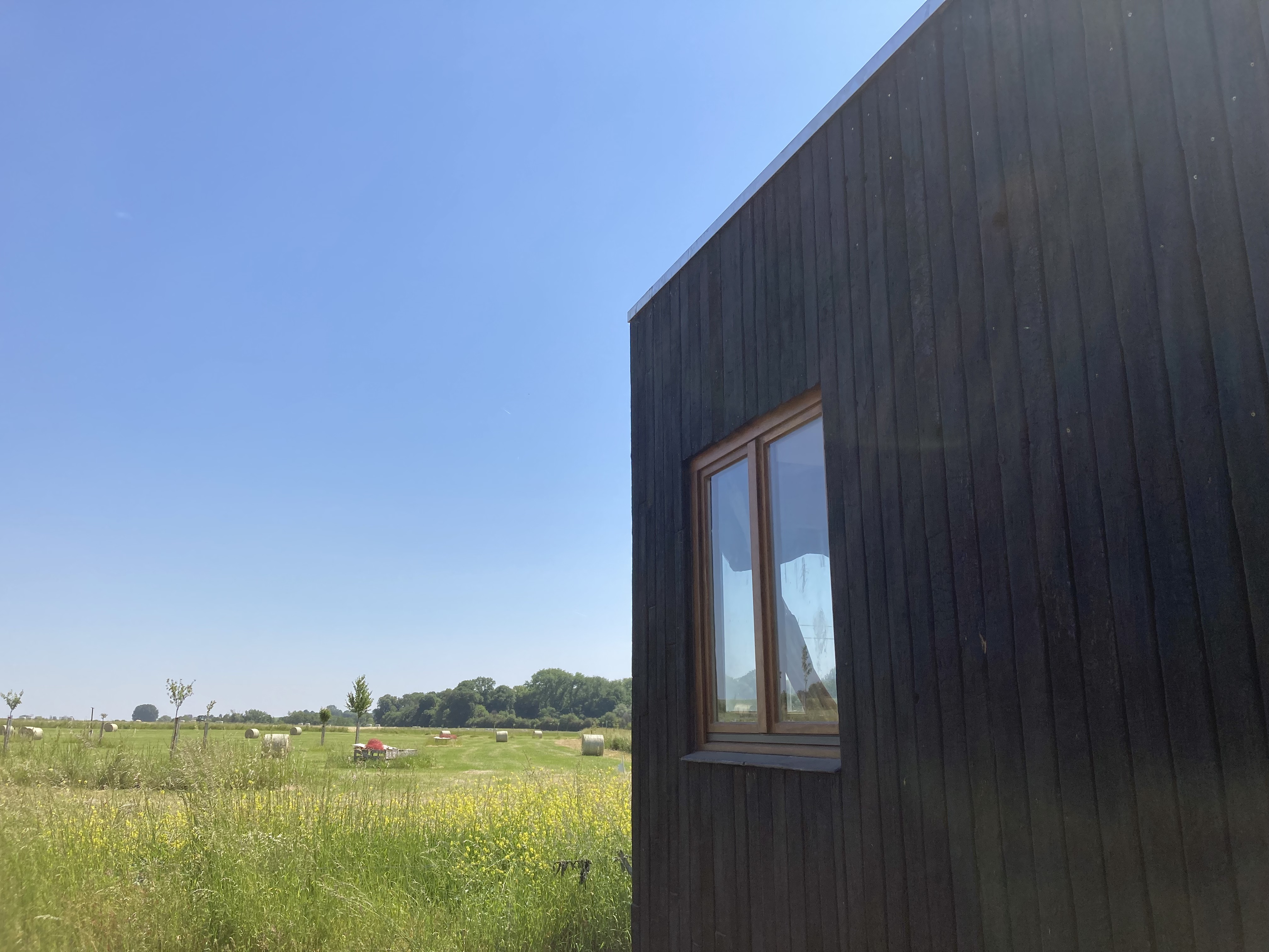La tiny house terminée, bardage bois foncé, dans un pré ensoleillé
