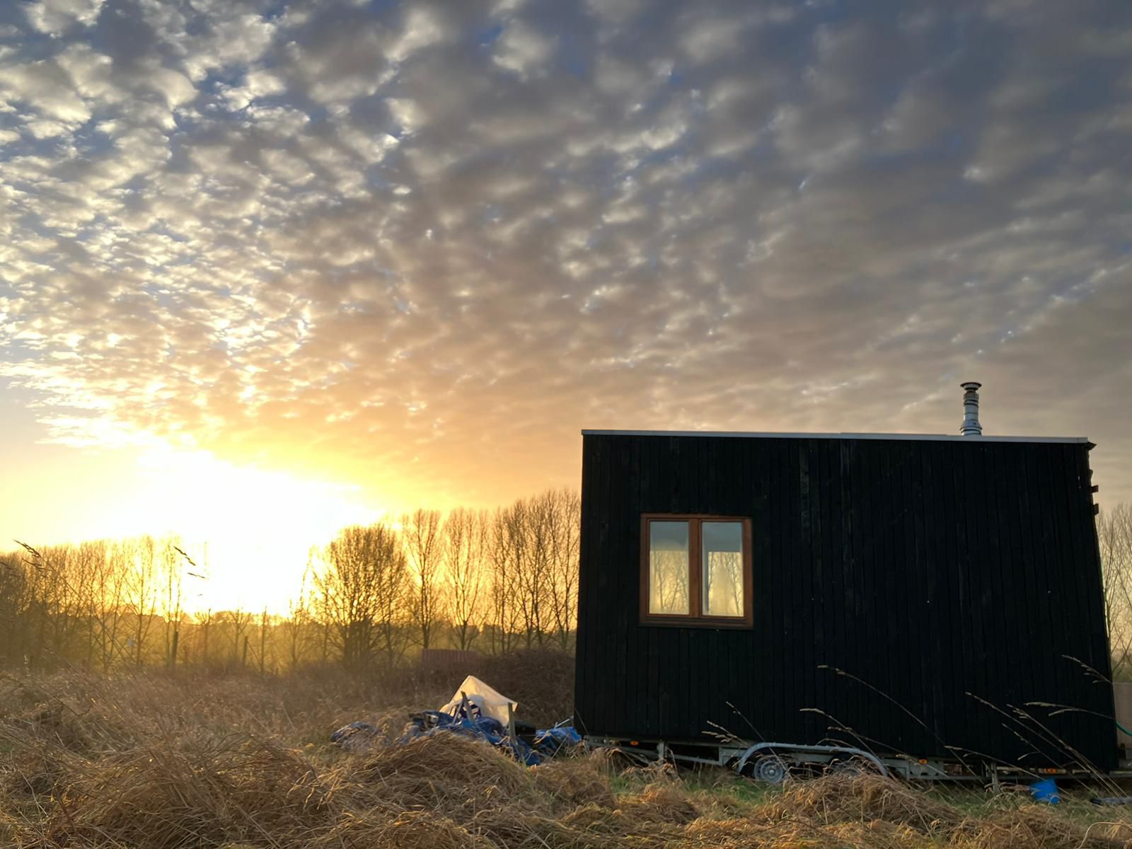 La tiny house terminée dans son écrin de nature, au soleil