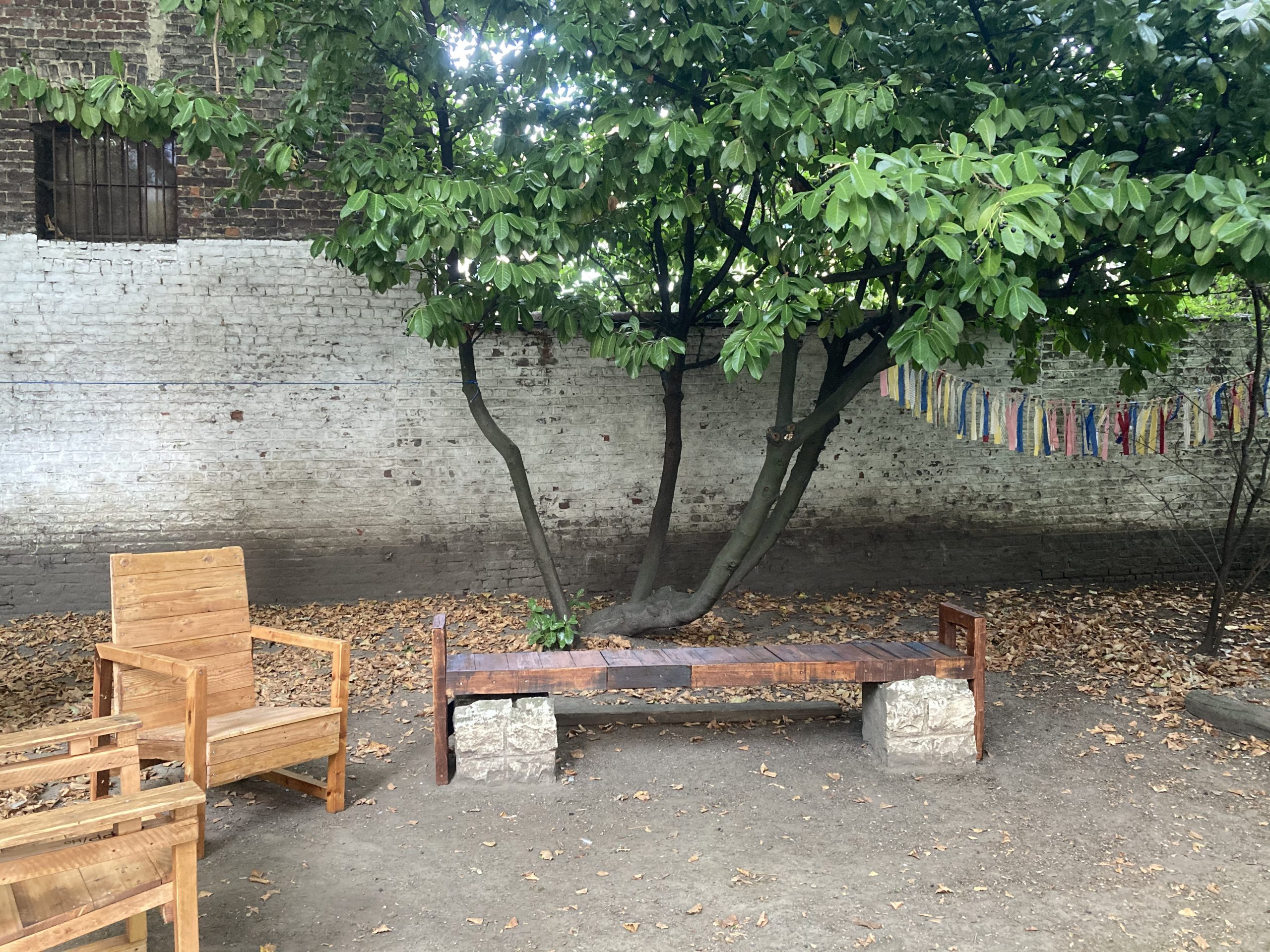 Chaises et banc en bois installés sous l'arbre du jardin