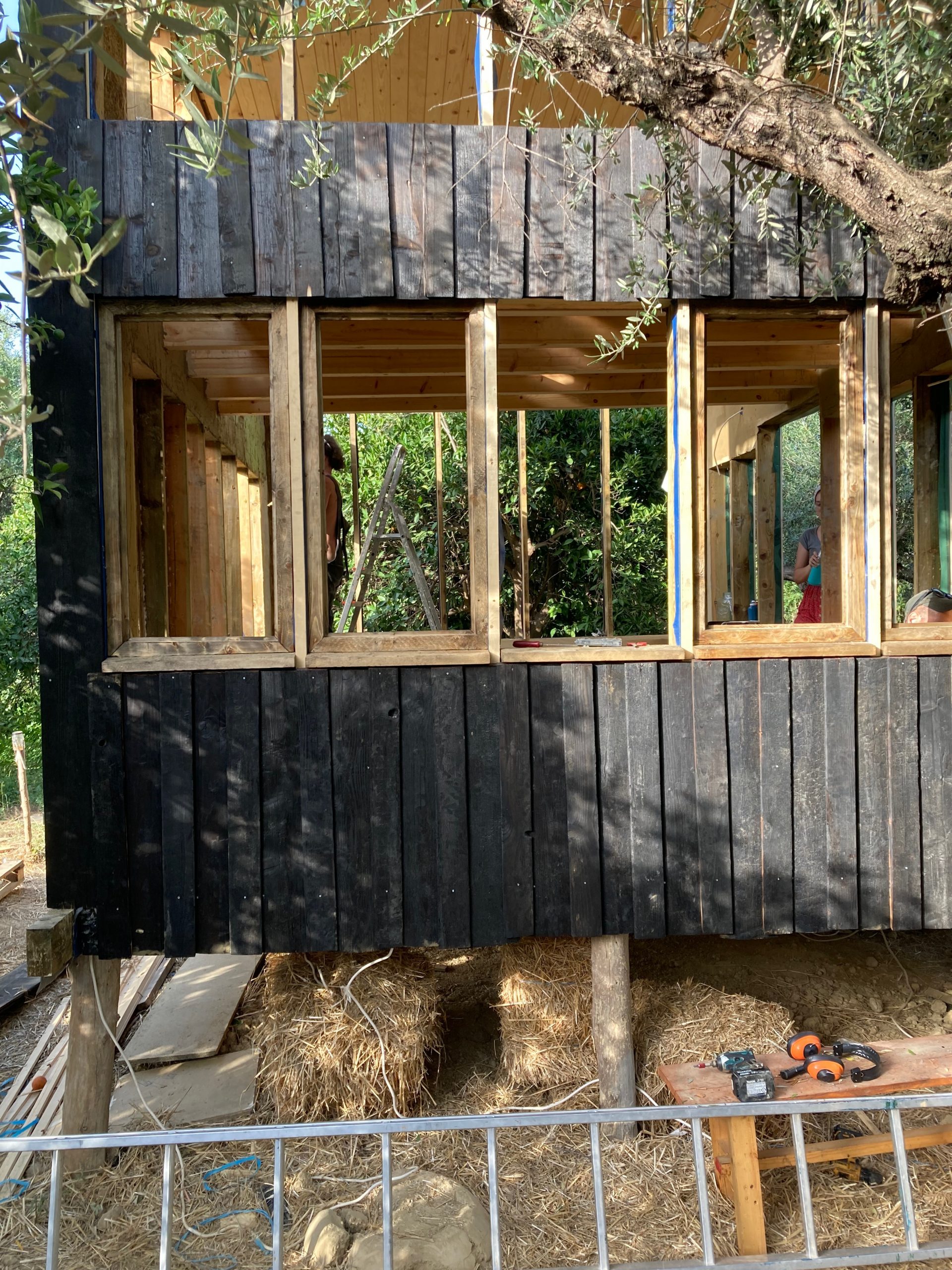 Façade du mini habitat, bardage brûlé en bas et ossature vitrée en haut