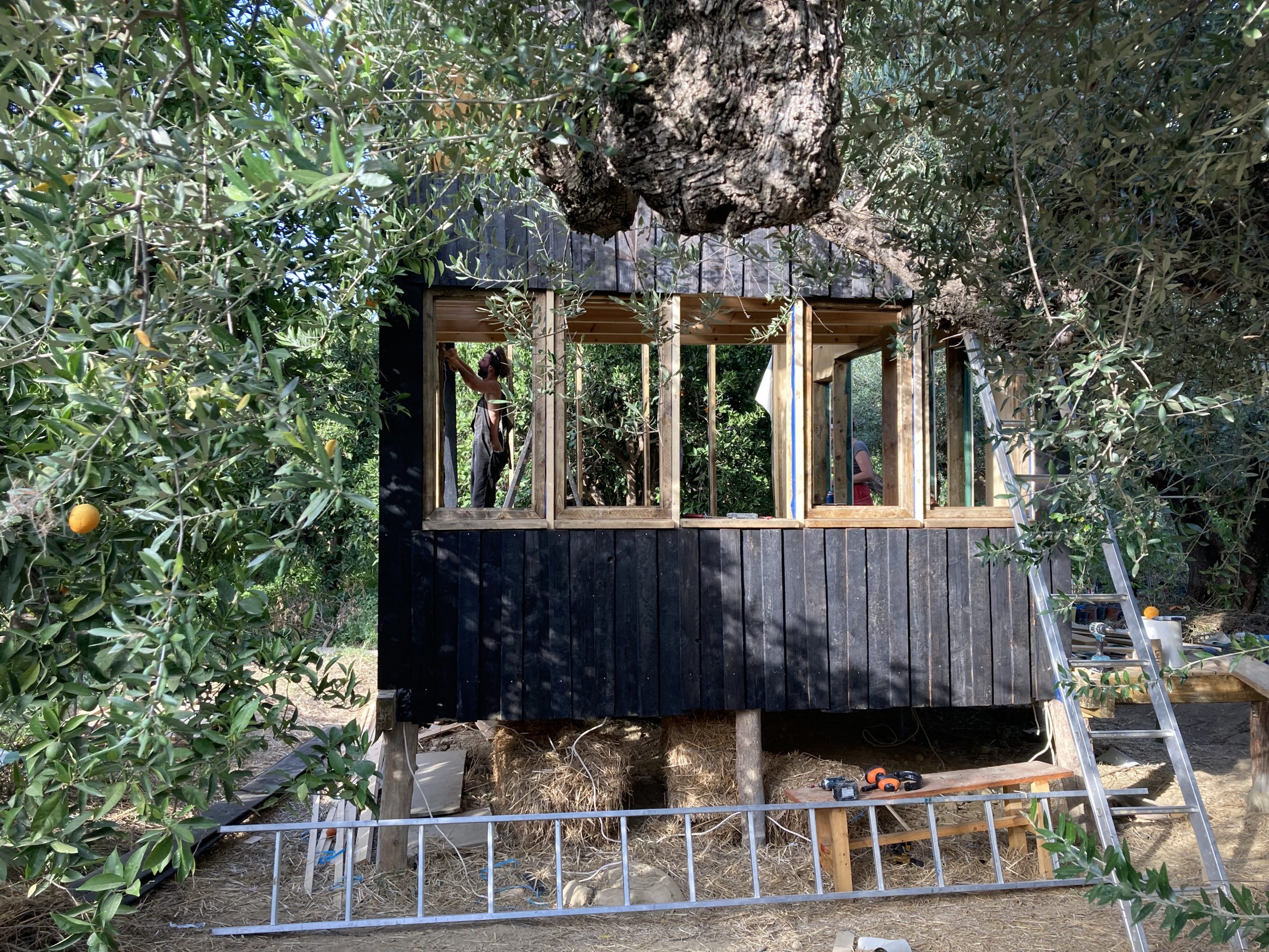 Le mini habitat sur pilotis vu de biais, bardage brûlé et grandes baies