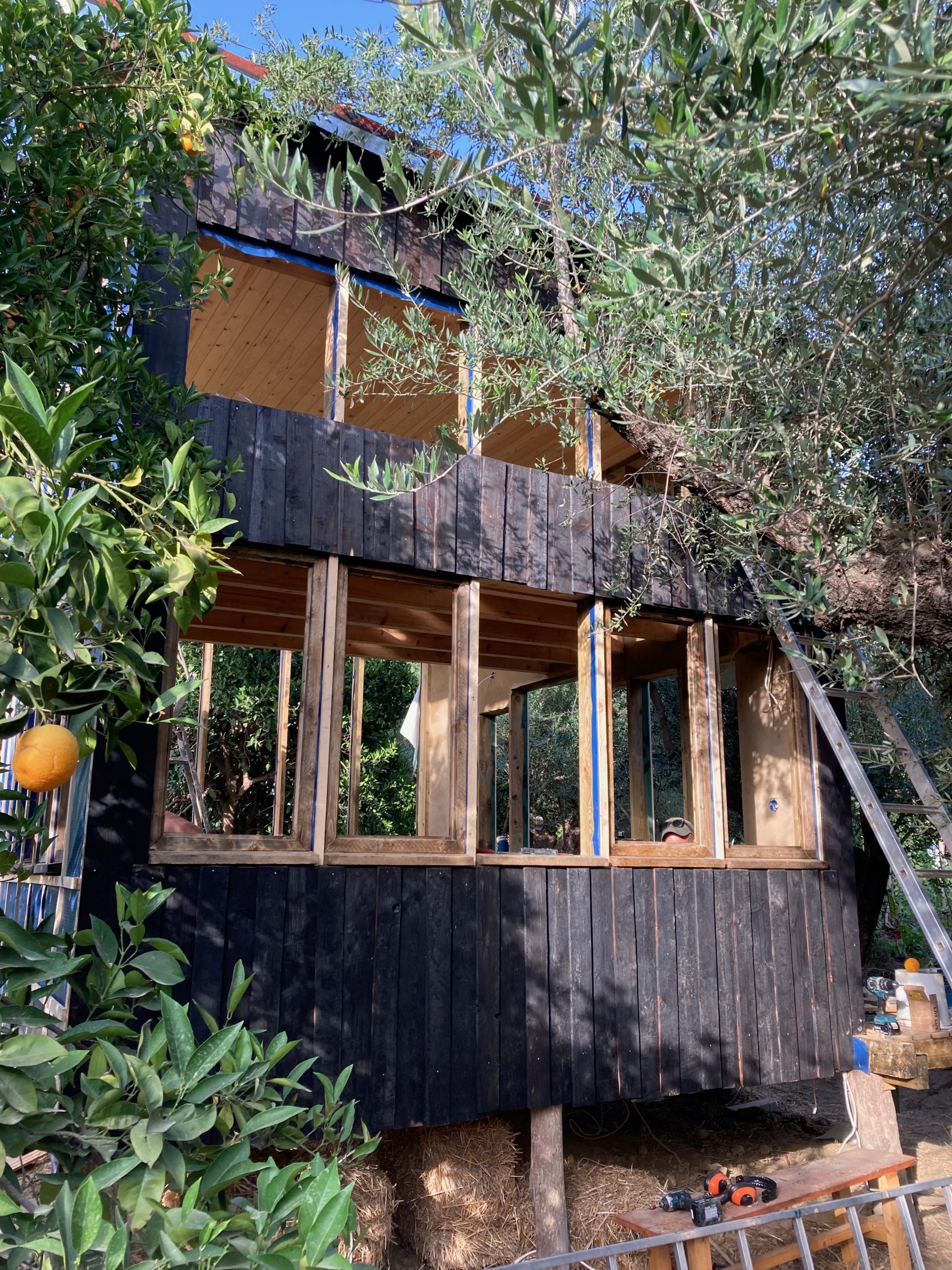 Le mini habitat surélevé dans la végétation, échelle d'accès