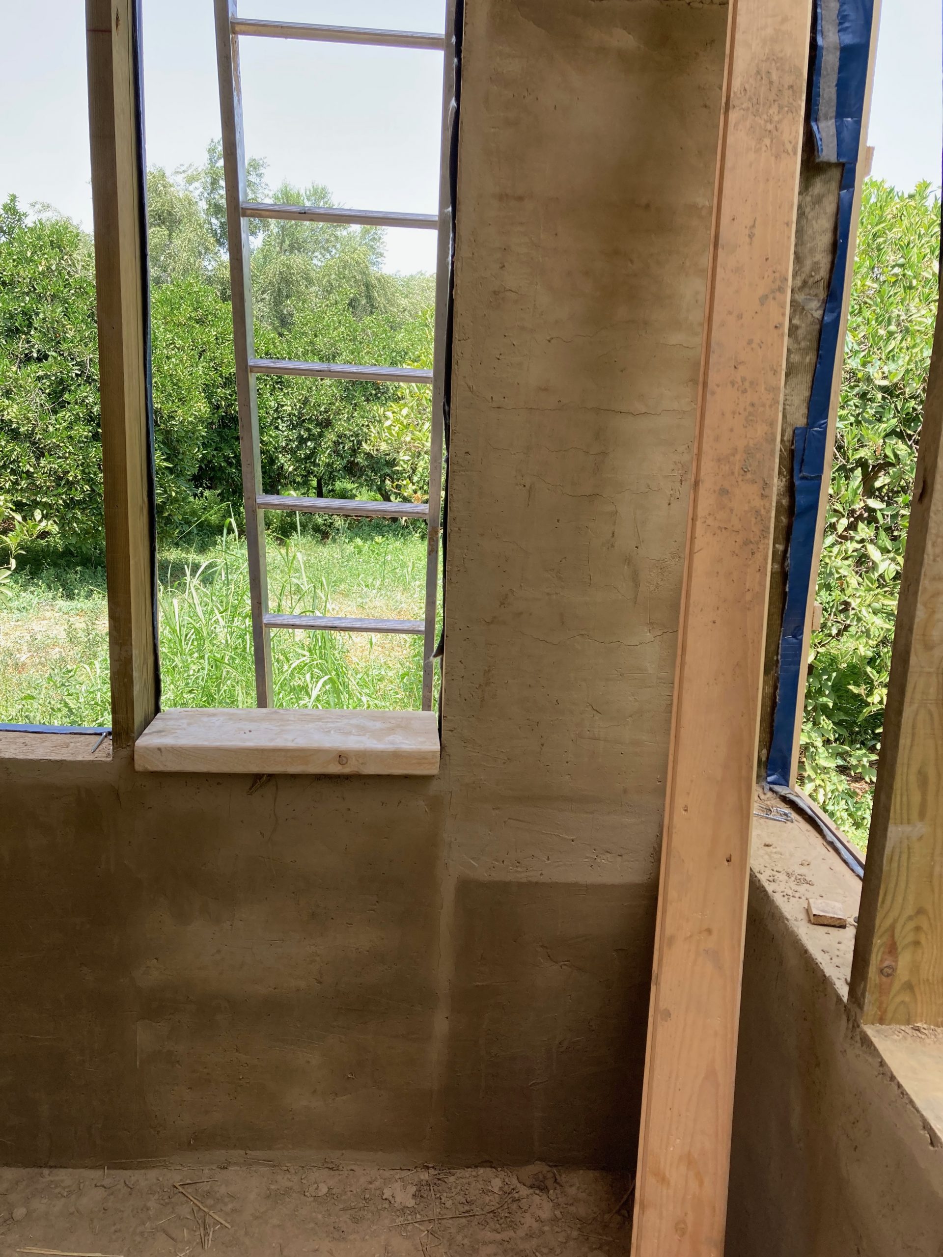 Fenêtre en bois du mini habitat ouverte sur la végétation
