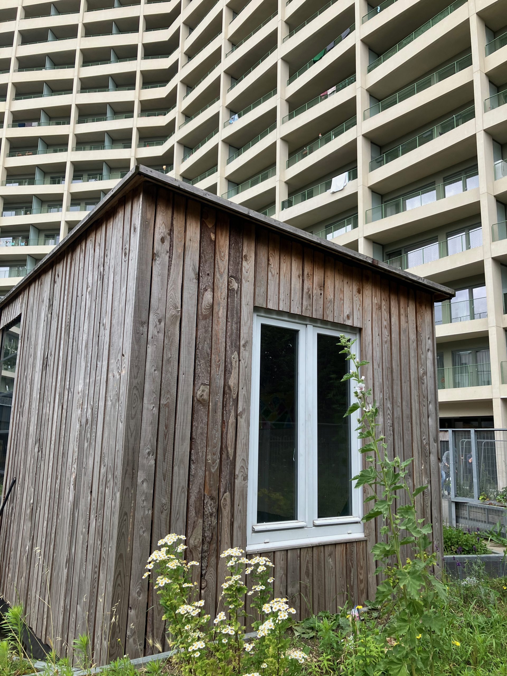 Le pavillon en bardage bois au milieu de la végétation
