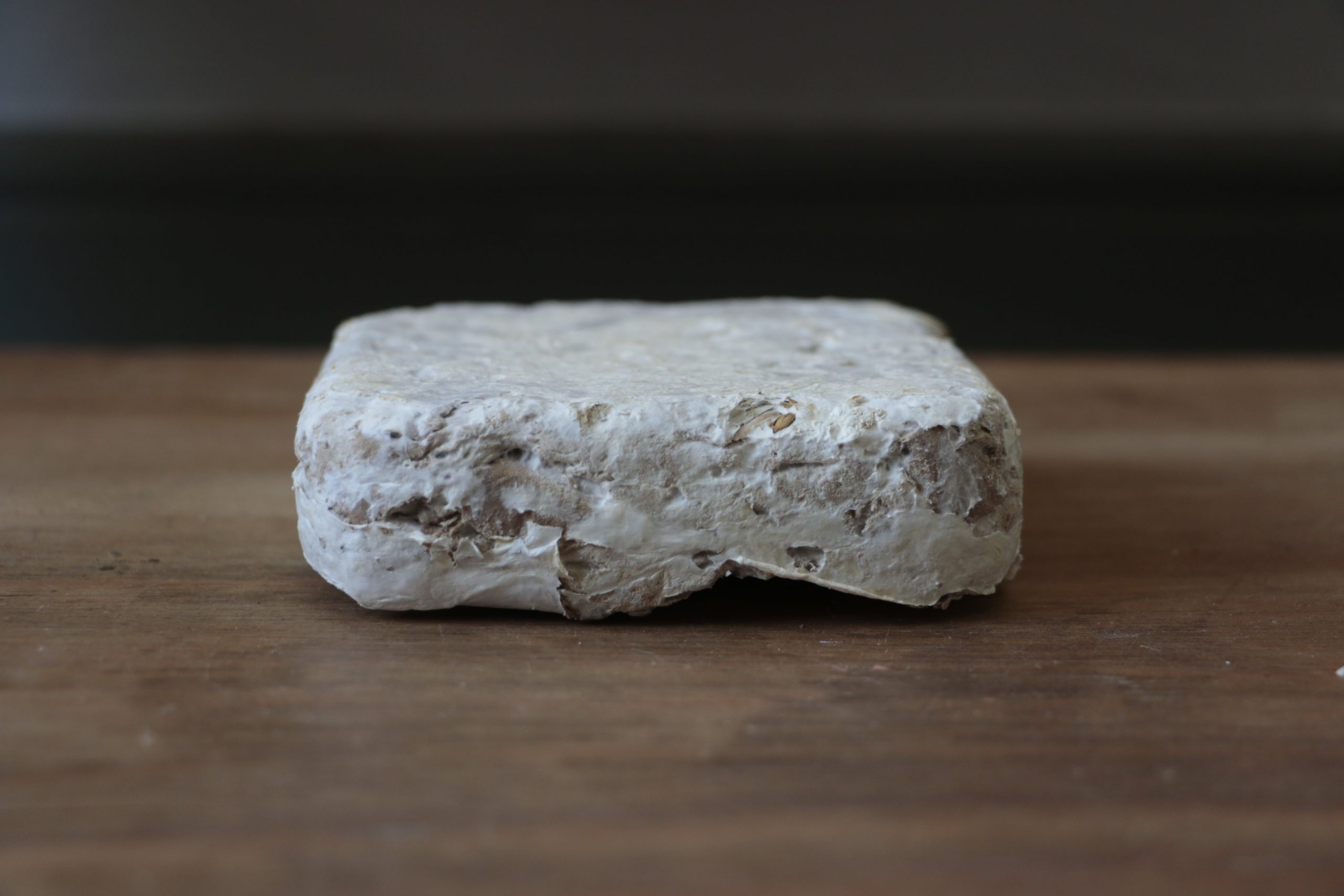 Bloc d'isolant en mycélium à la surface blanche, sur une table