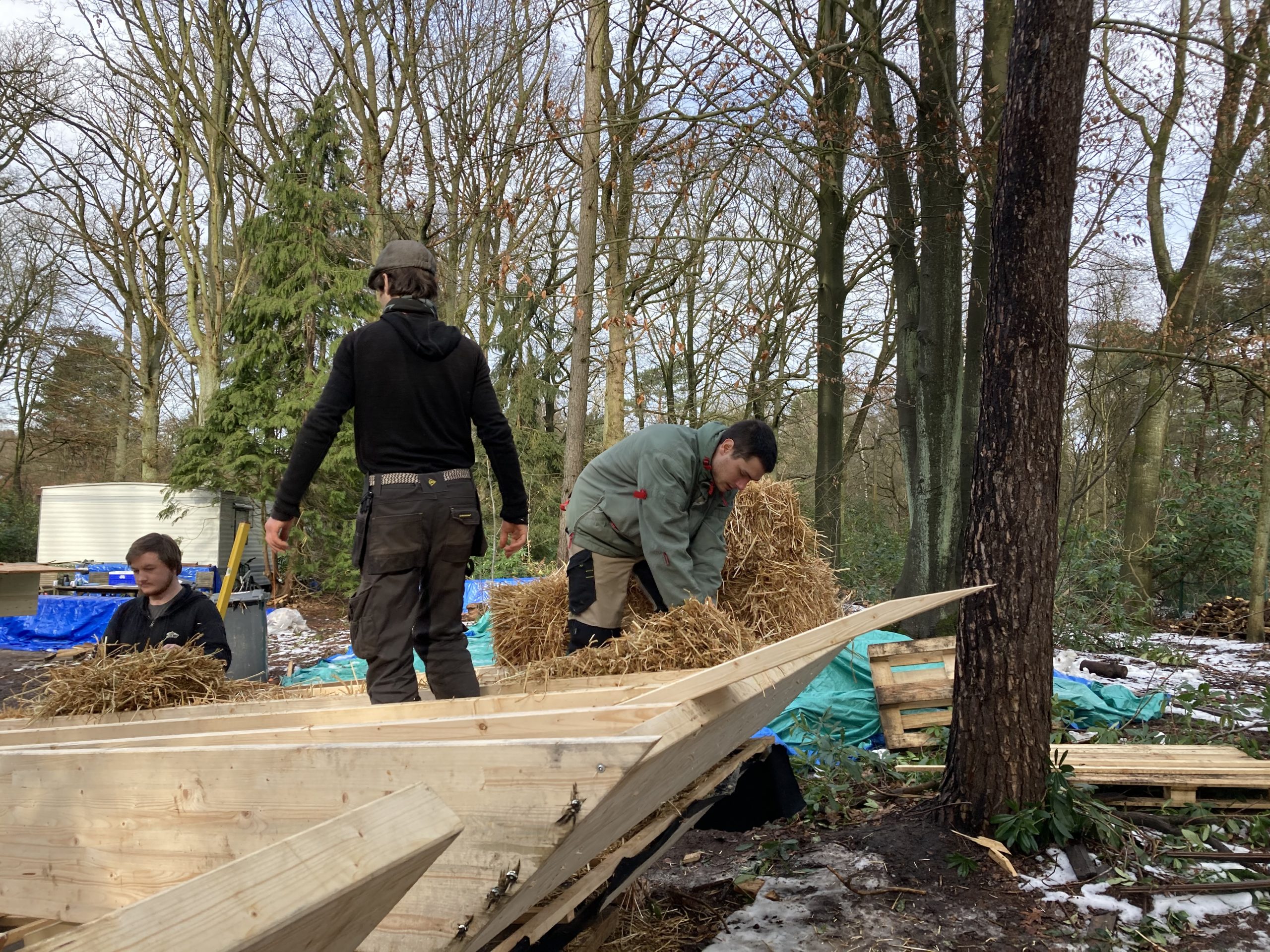 Participants garnissant de paille un panneau de toiture à plat