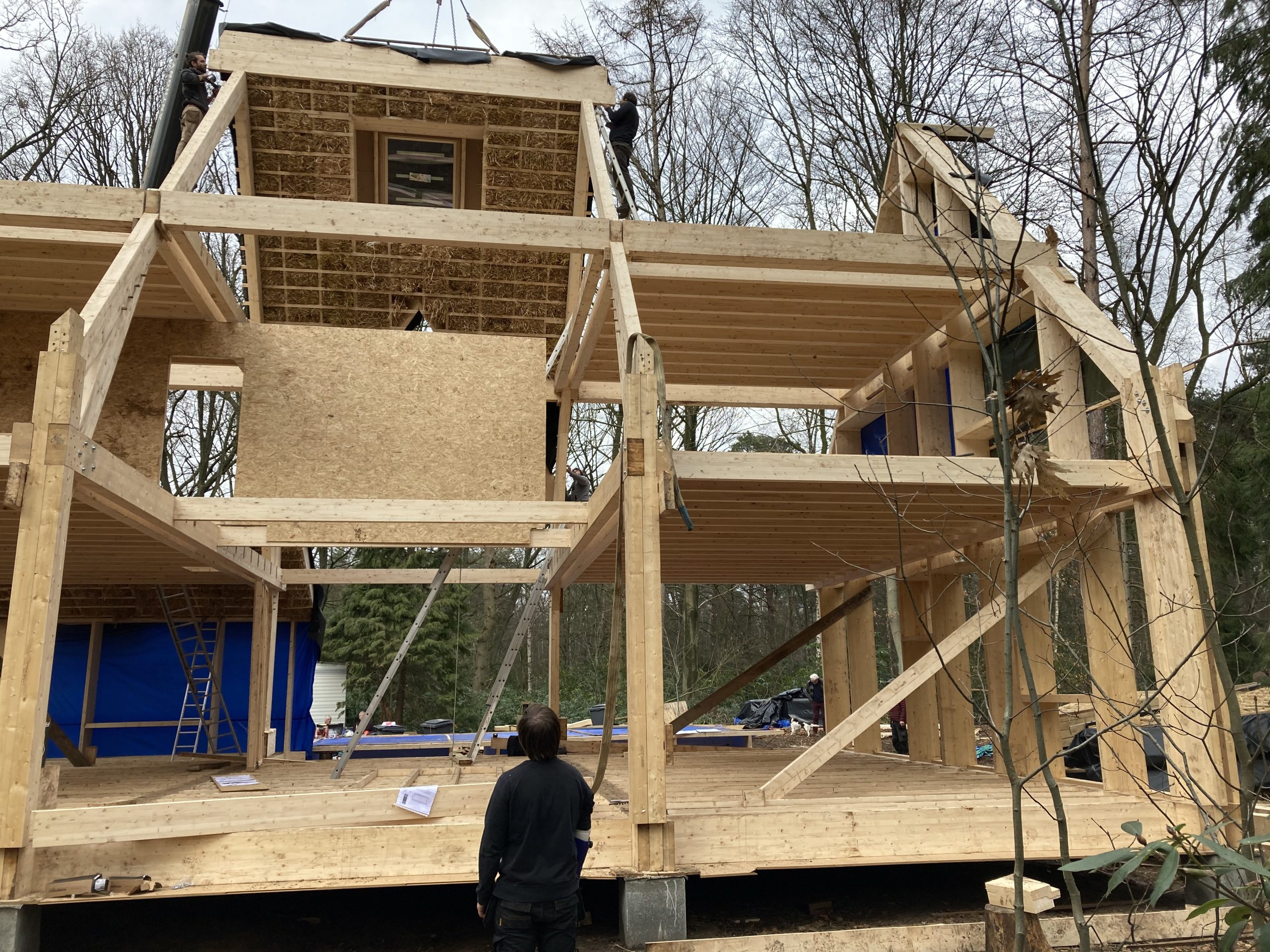 Ossature bois de la maison montée, poutres et entretoises apparentes