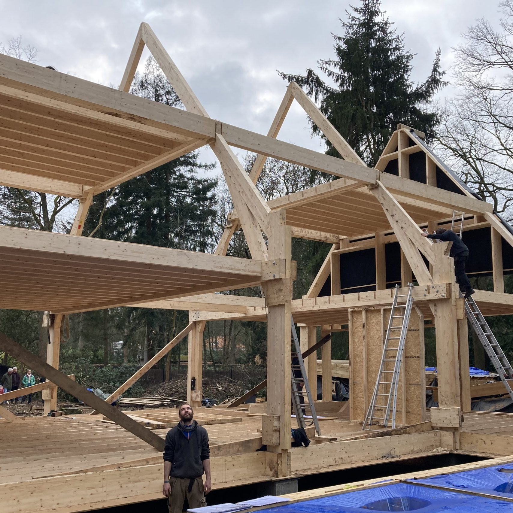 Charpente à pignon de la maison dressée entre les arbres