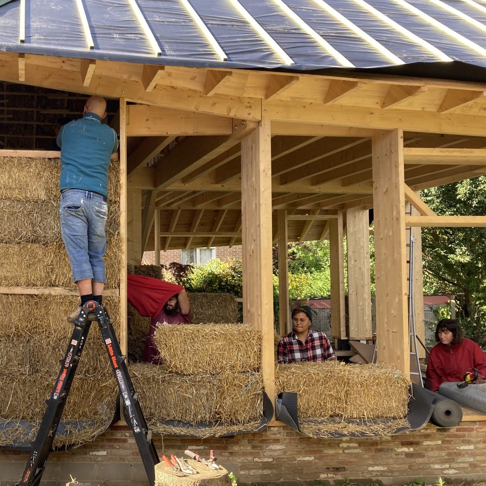 Participants garnissant de paille l'ossature bois sous la toiture