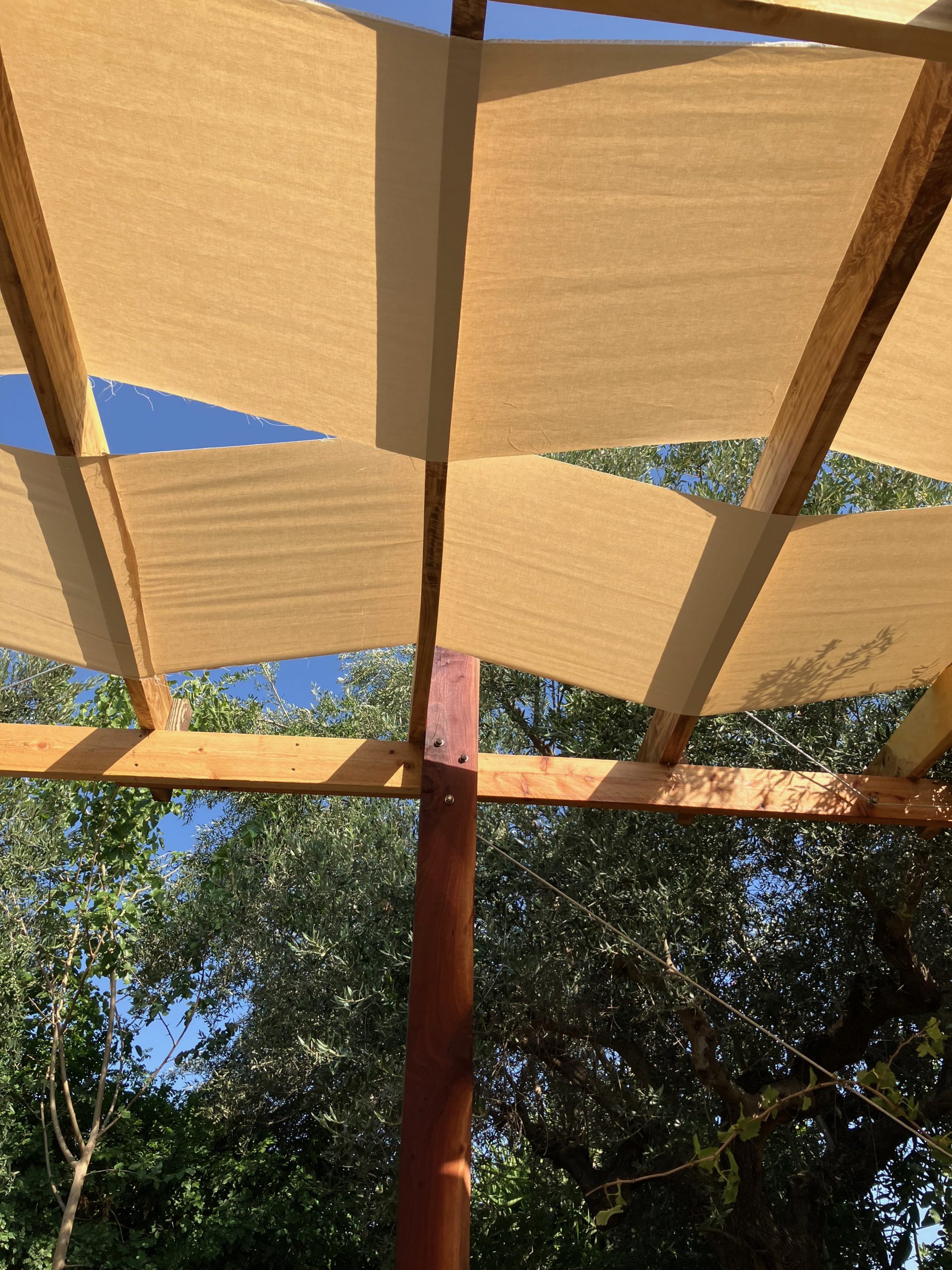 Vue en contre-plongée de la toile et des chevrons