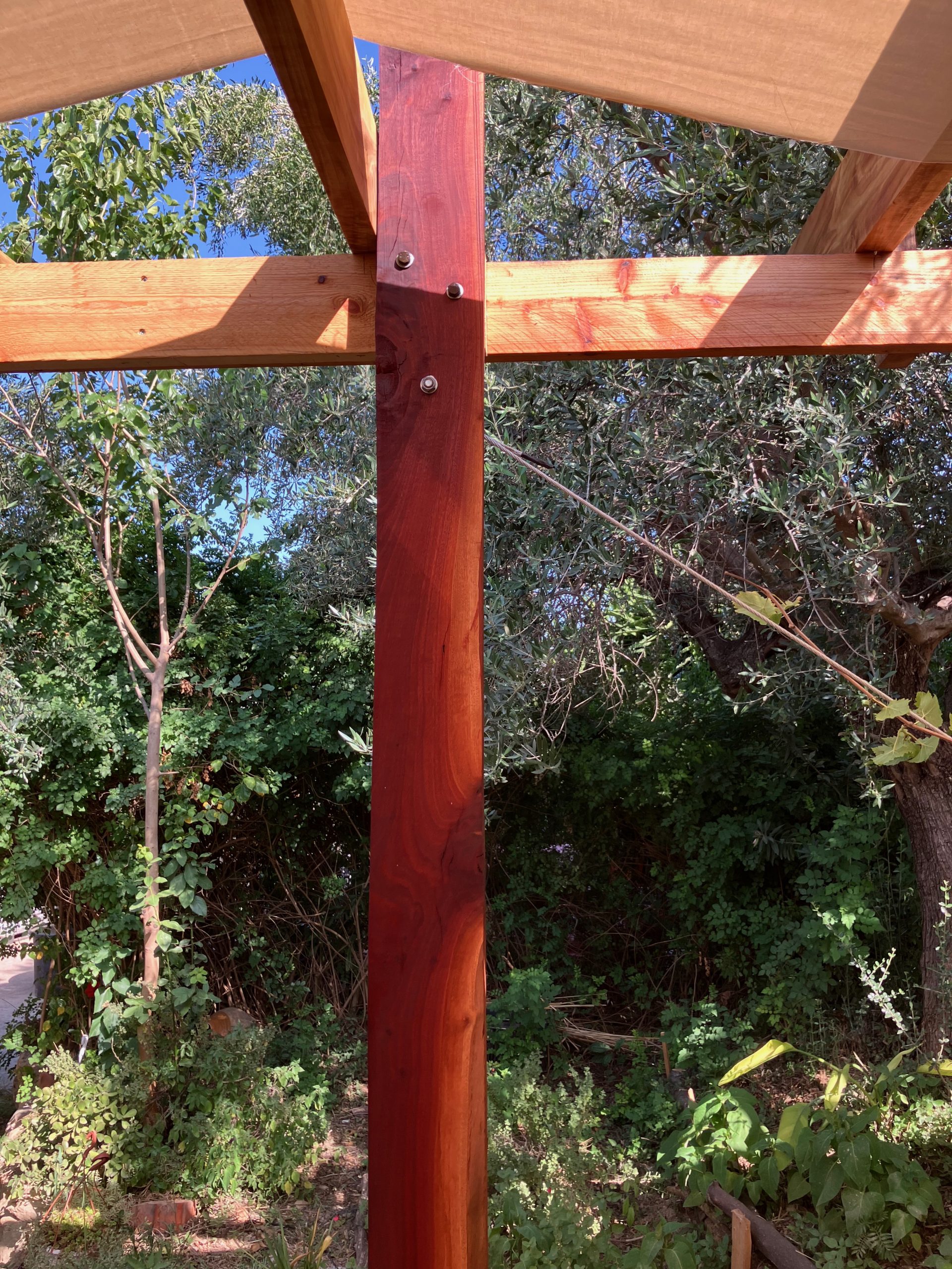 Poteau rouge et charpente bois devant les arbres