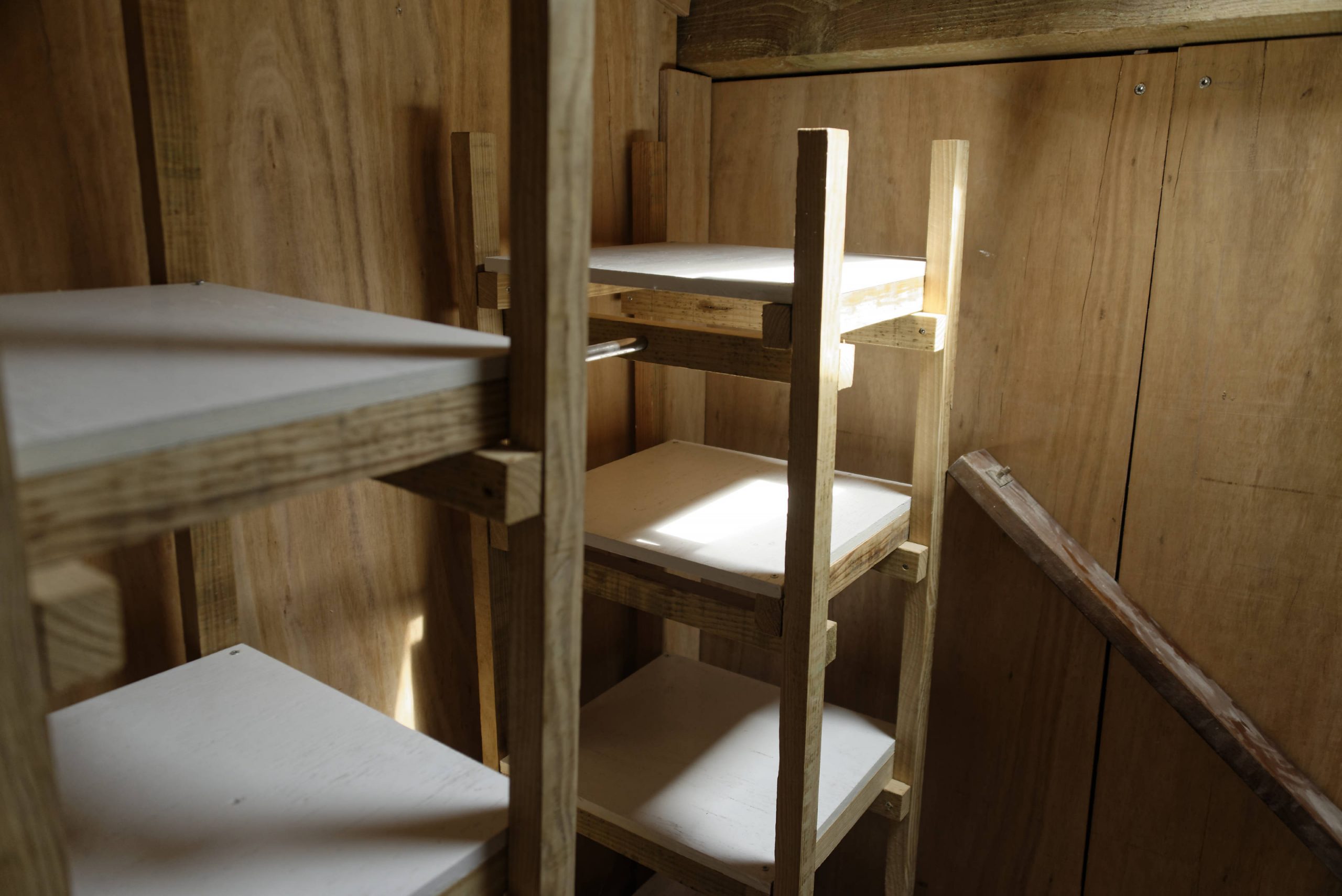 Lits superposés intégrés dans une structure en bois clair